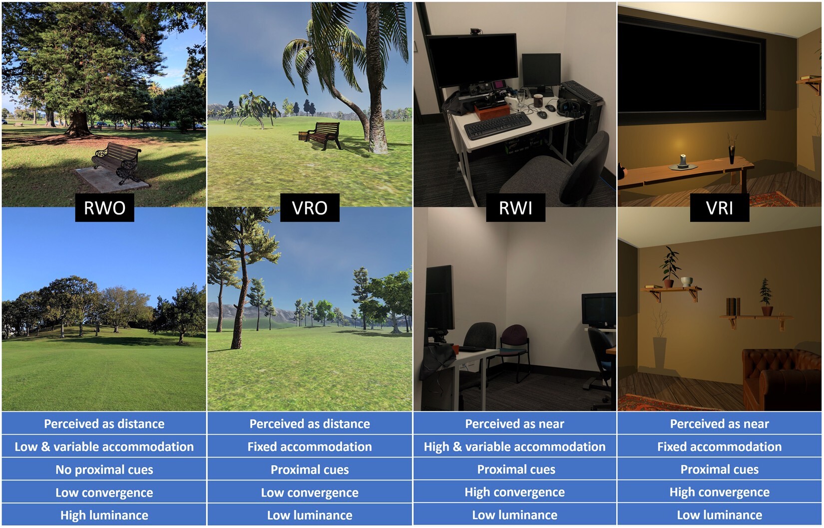 Why Horizon Stability Is Critical for Comfort and Immersion in VR POV Videos