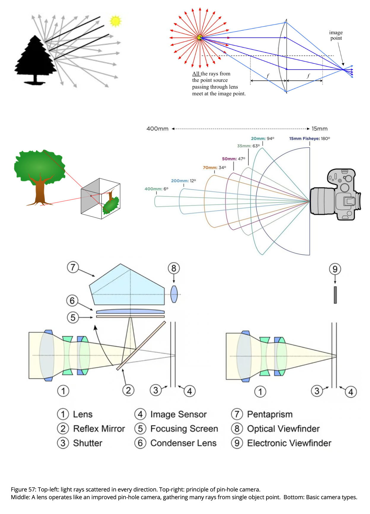 How Camera Height Affects Immersion in VR