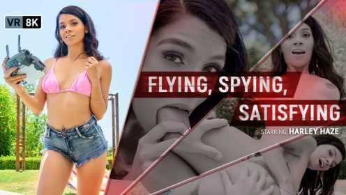 Flying, Spying, Satisfying